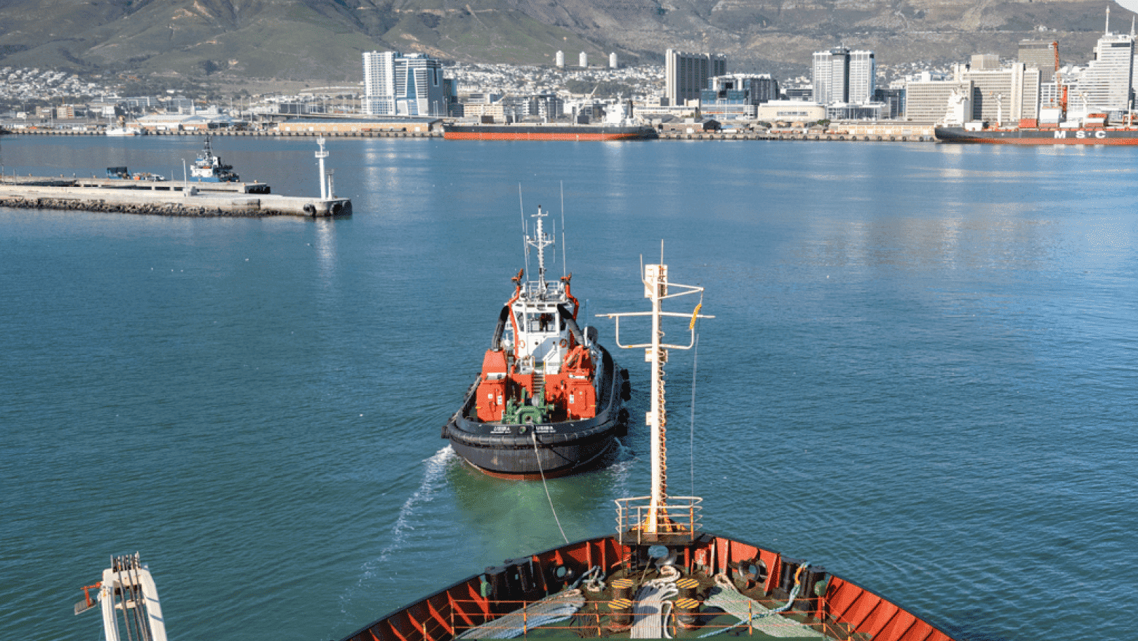 Органы управления Компании